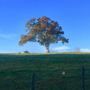 Meet your Posher, Sloan